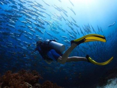 Scuba diving among school of fishes at Langkawi