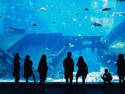 SEA Aquarium on Sentosa Island