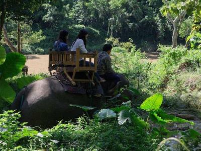Seat on the back of elephant for riding