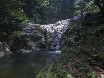 Sekayu Waterfall at Terrapin Conservation