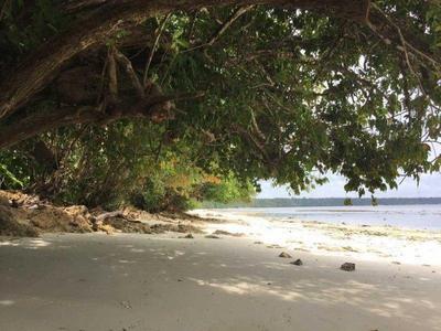 Shaded beach area on Kakaban Island