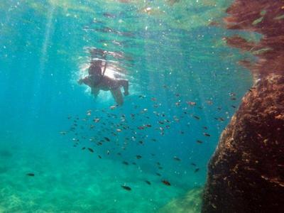 snorkelling Cham island