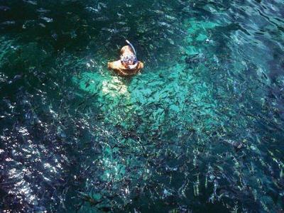 Snorkelling Pulau Payar