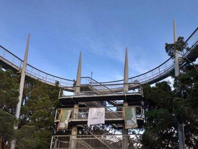 Stairs up to the viewpoint in The Habitat