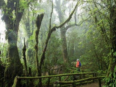 Tourist exploring the Doi Inthanon National Park