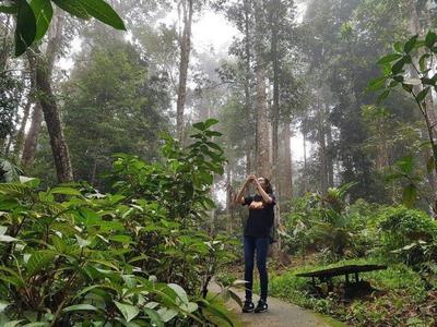 Tourist exploring the jungle on Bukit Tinggi