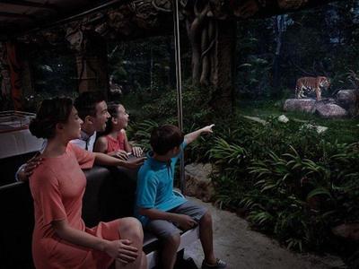 Tourist family sees a tiger at Singapore night safari
