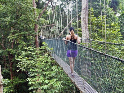 Tourist on Taman Negara Canopy Walkway