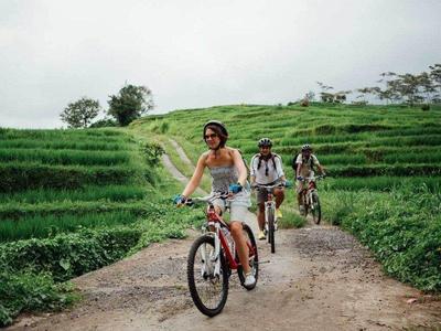 Tourists cycling around Jatiluwih Village