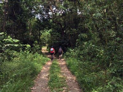 Tourists cycling at the countryside of Kota Kinabalu
