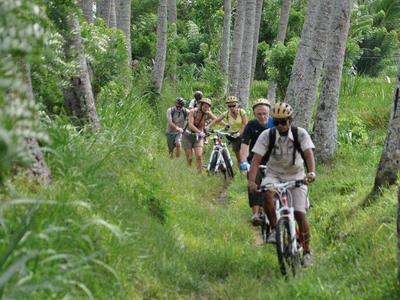 Tourists cycling through the countryside of Bali