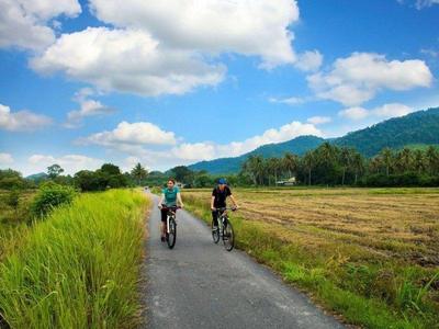 Tourists cycling through the outskirts of Balik Pulau
