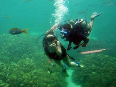 Tourists enjoy dive at Pulau Payar