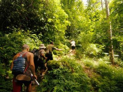 Tourists jungle trekking across the forest of Laos