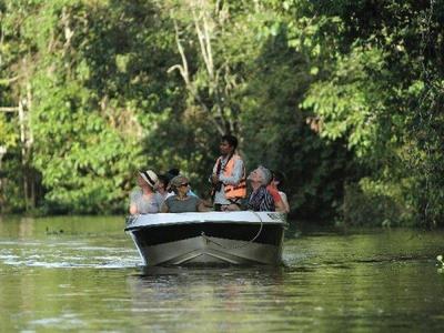 Tourists on a boat exploring wildlife Sukau
