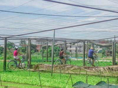 Tra Que Herb Village