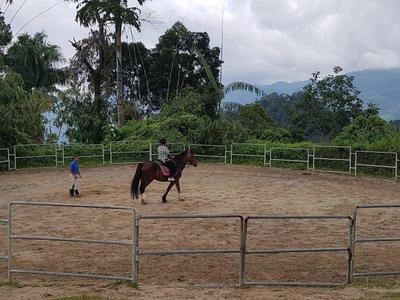 Trainer assisting visitors on horse riding in Bukit Tinggi