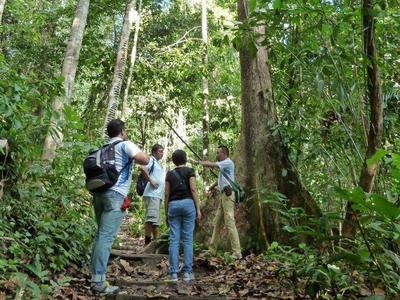 Trekking at Lambir Hills National Park with guide