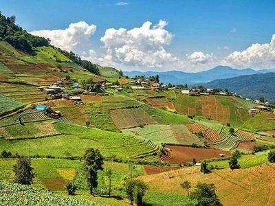 Vegetation fields at the hills in Mon Jam Valley