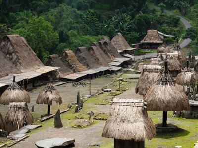 Village of Bena in Flores