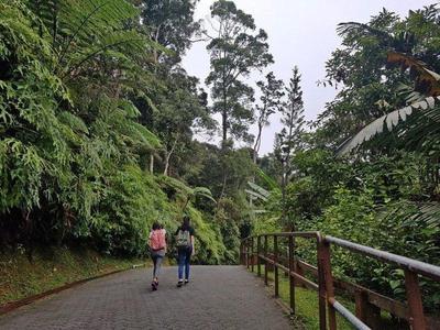 Walking on the paths in Bukit Tinggi
