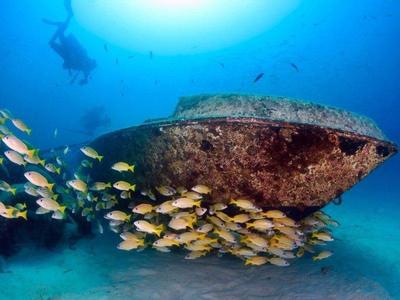 Wreckage dive site at Mabul Island