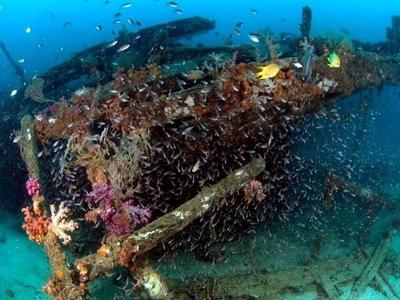 Wreckage diving site at Pulau Tioman